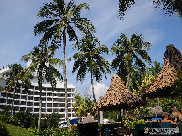 DSC_8334.jpg
