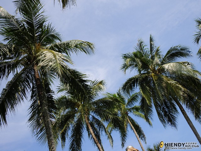 DSC_8333.jpg