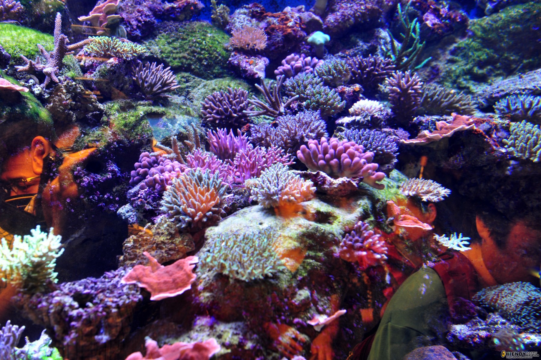 DSC_7440 [Desktop Resolution].JPG