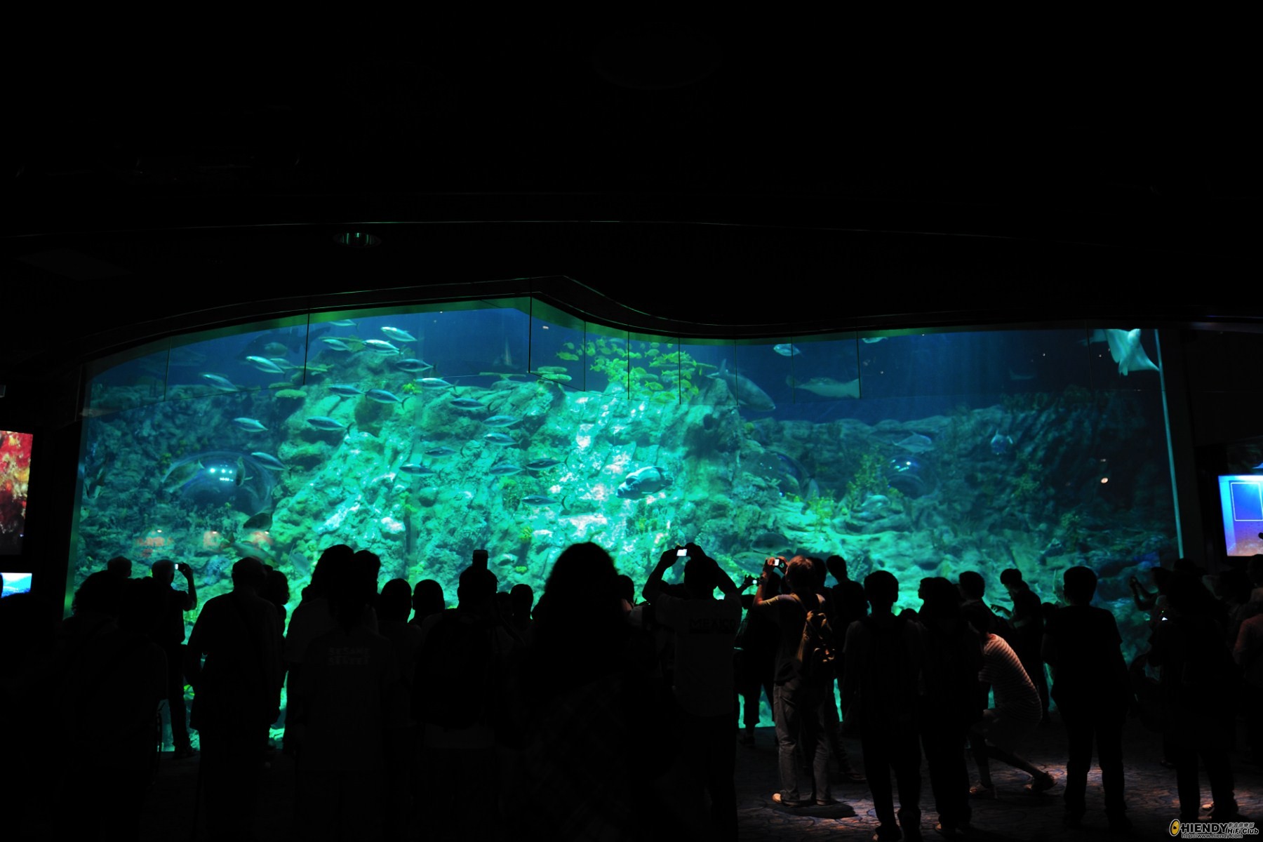 DSC_7469 [Desktop Resolution].JPG