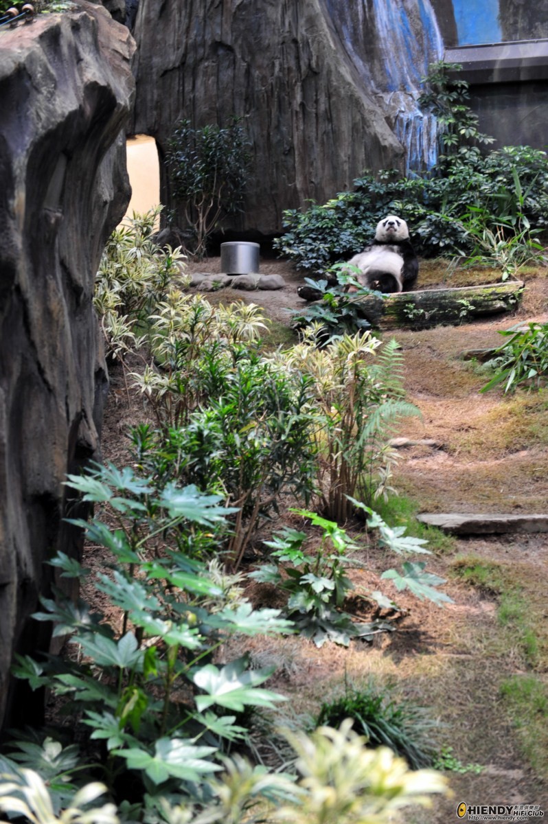 DSC_7491 [Desktop Resolution].JPG
