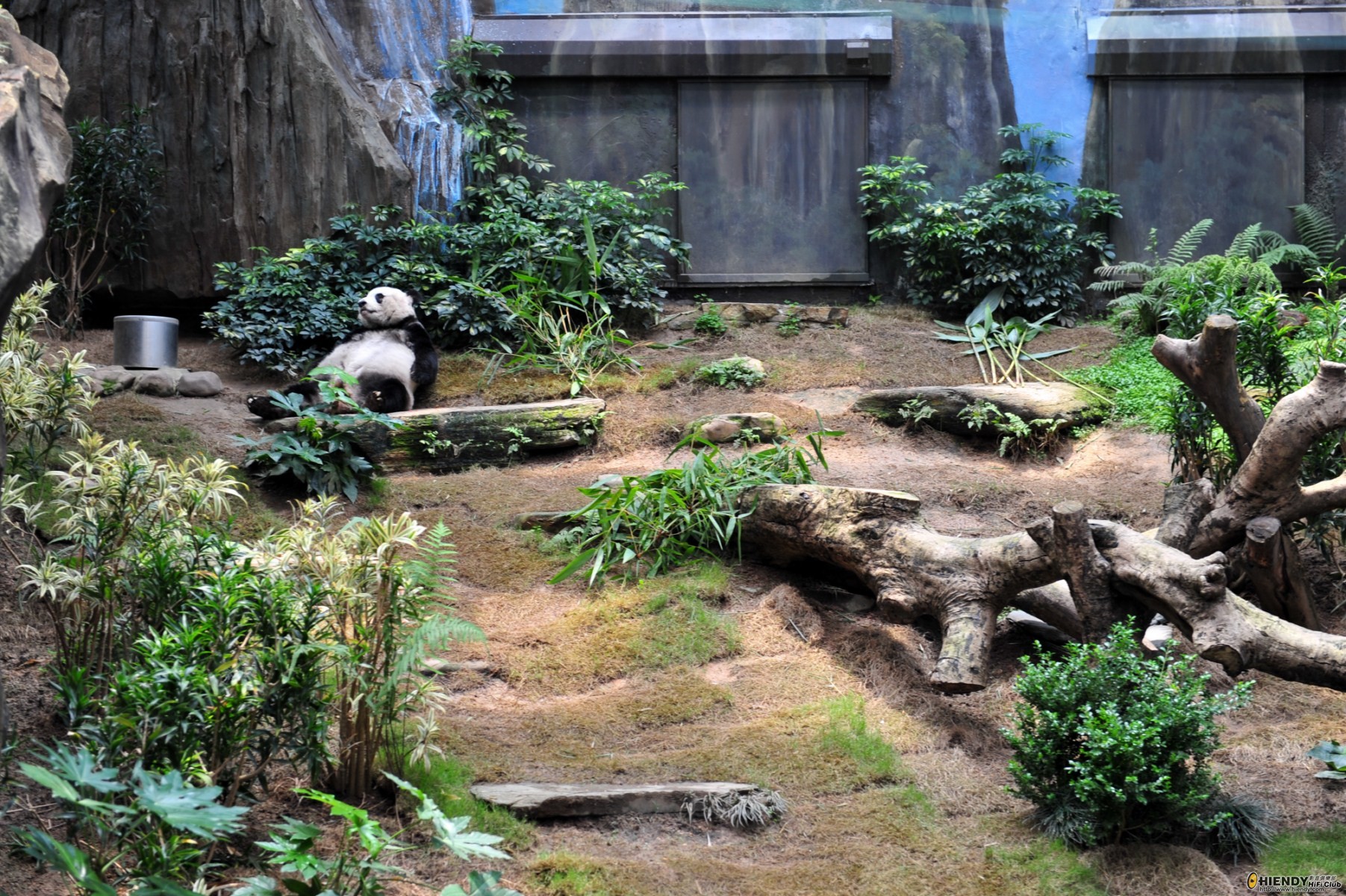 DSC_7487 [Desktop Resolution].JPG