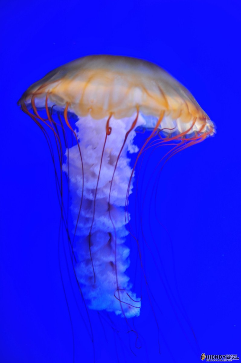 DSC_7558 [Desktop Resolution].JPG