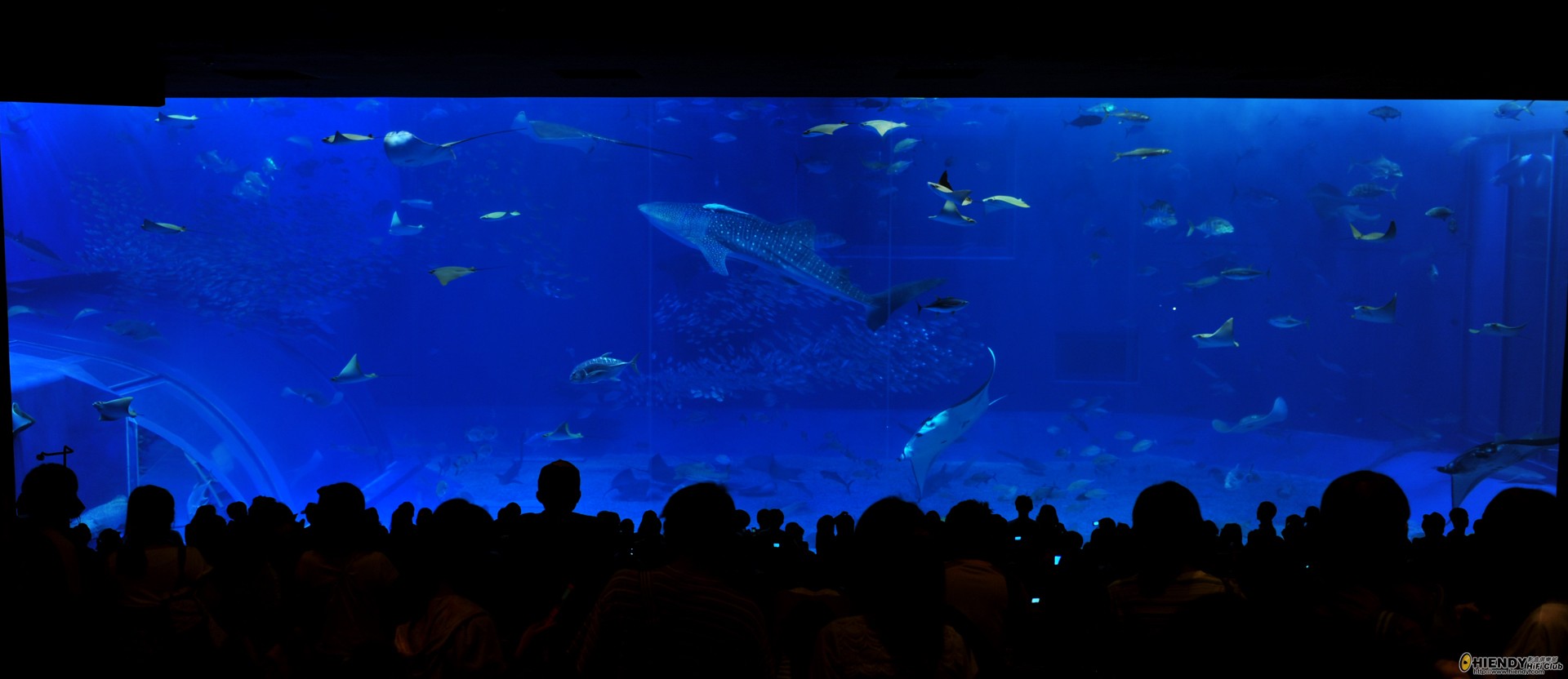 DSC_6747.JPG