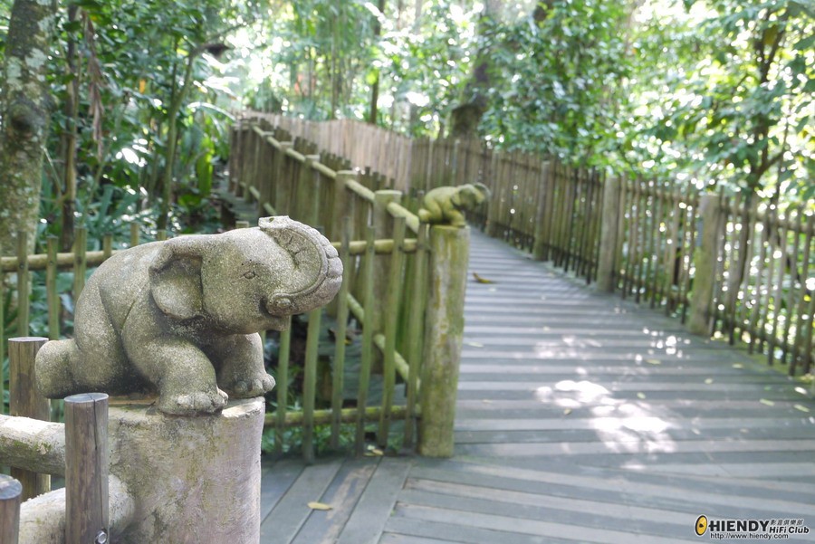 P1060617_resize.JPG