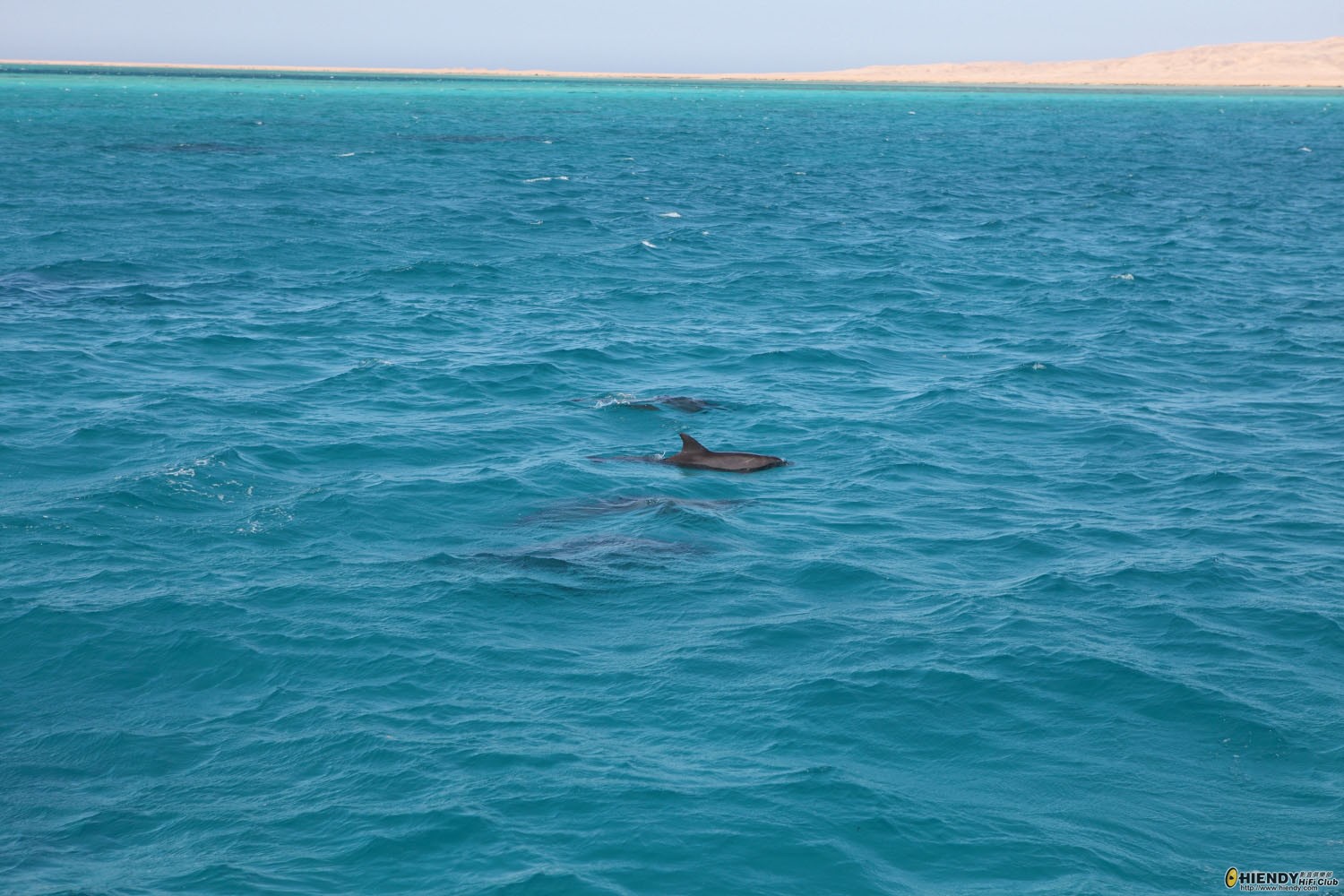 egypt_d6_0343.JPG