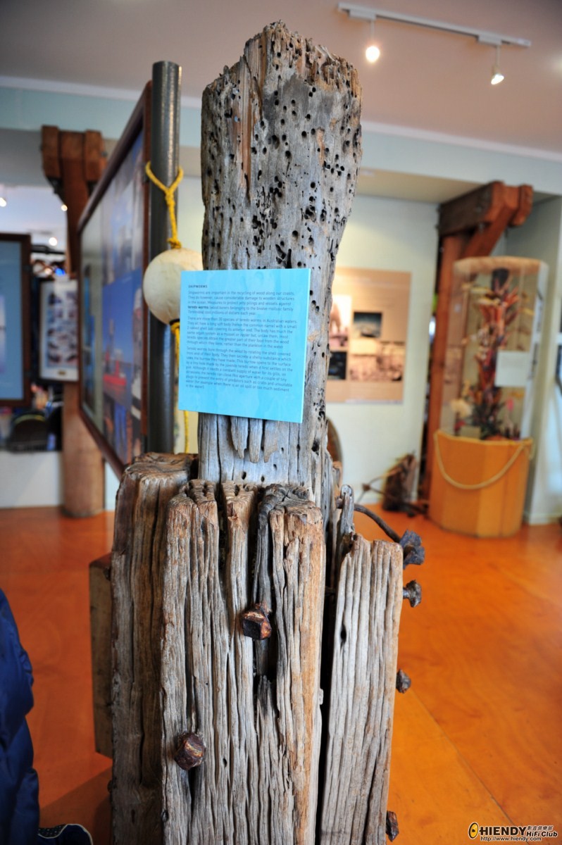DSC_8532 [Desktop Resolution].JPG