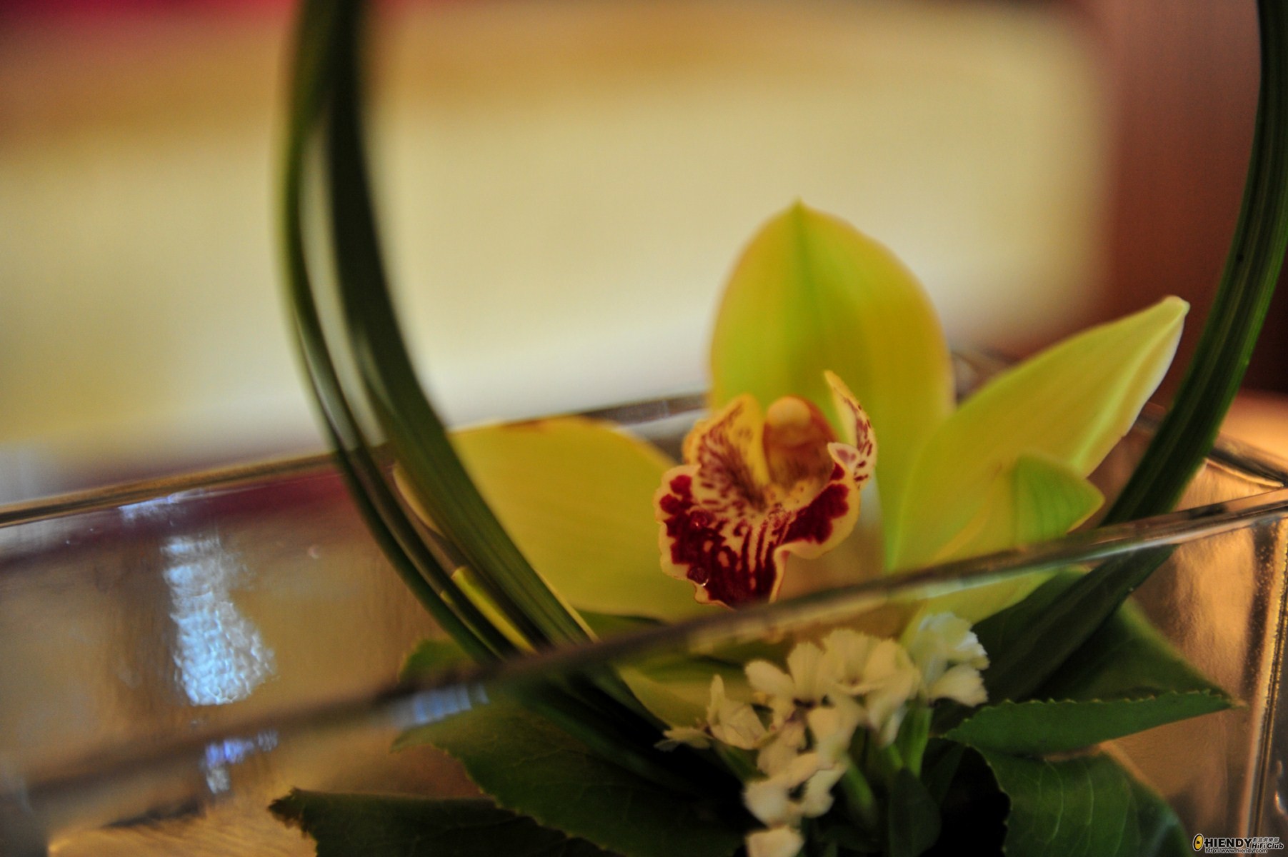 20110814MACP0065.JPG