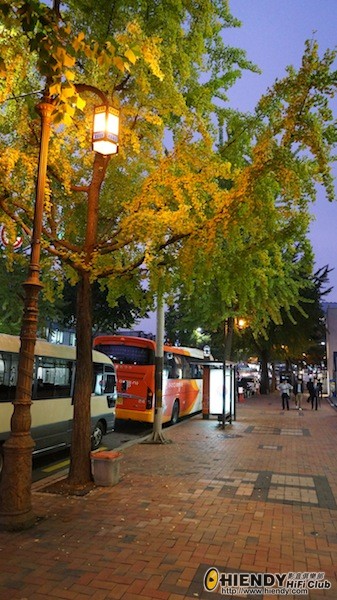 DSC00427.jpg