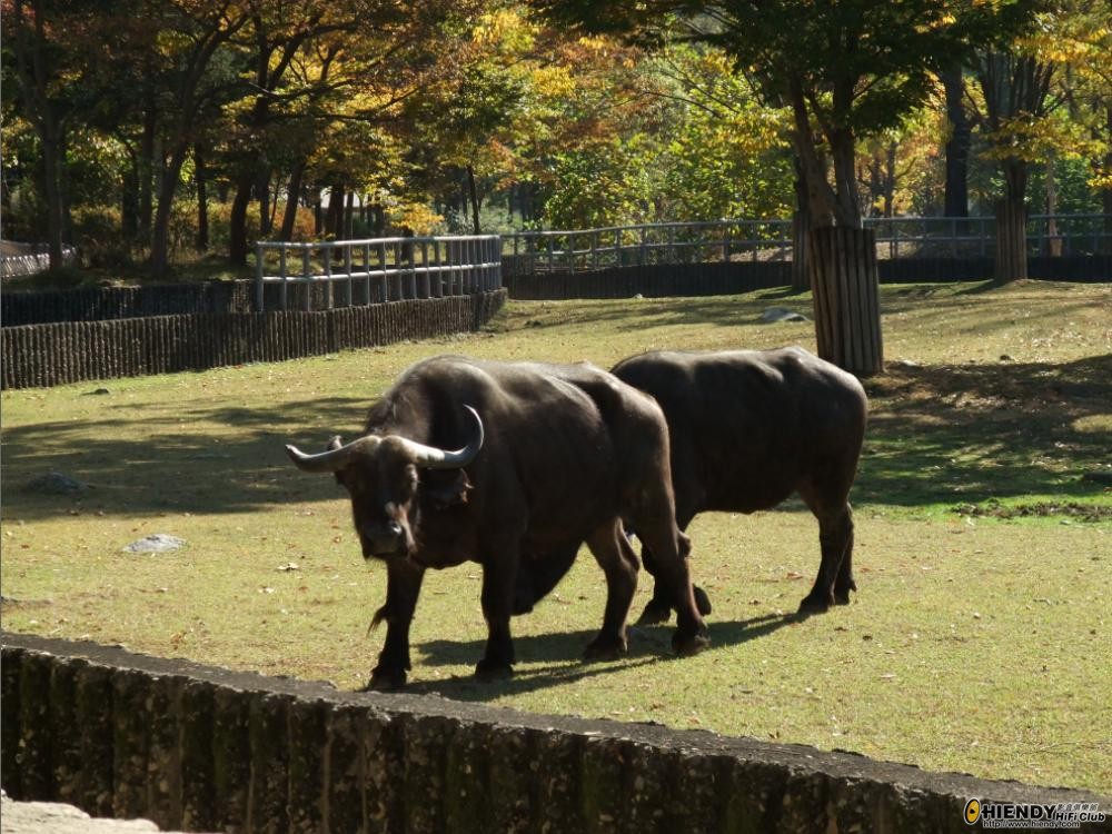 Park4.JPG