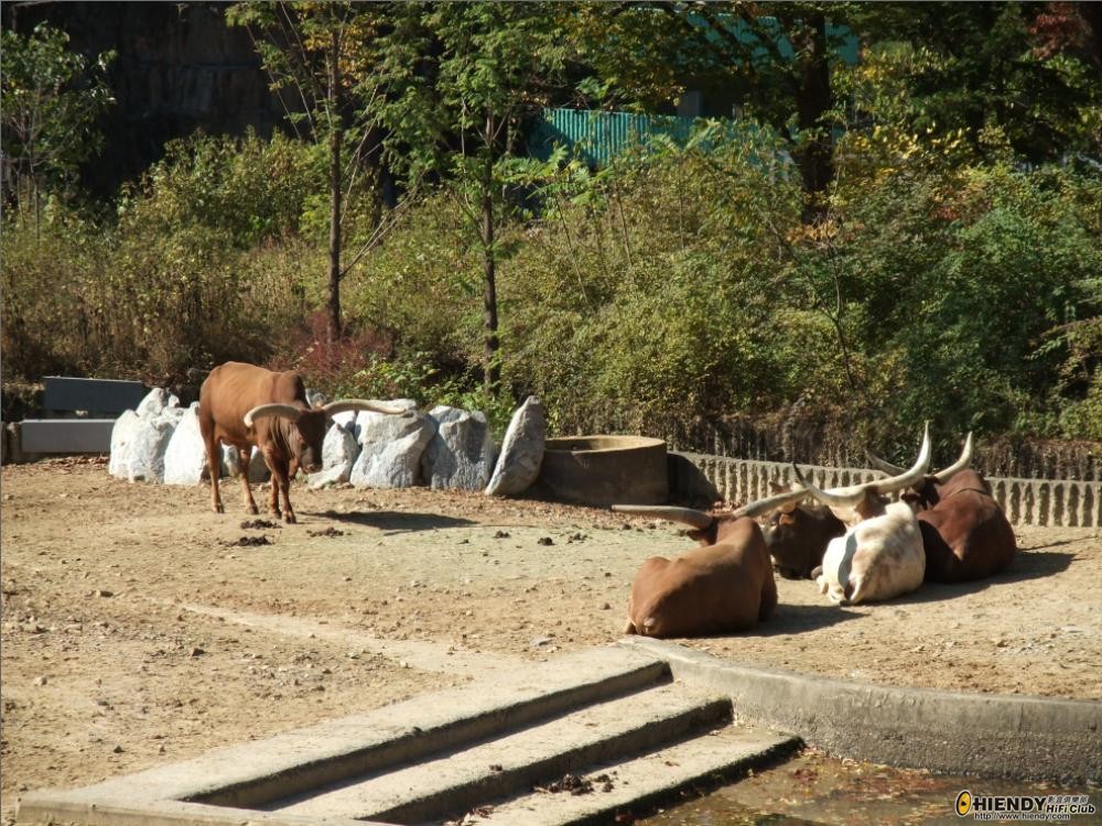 Park8.JPG