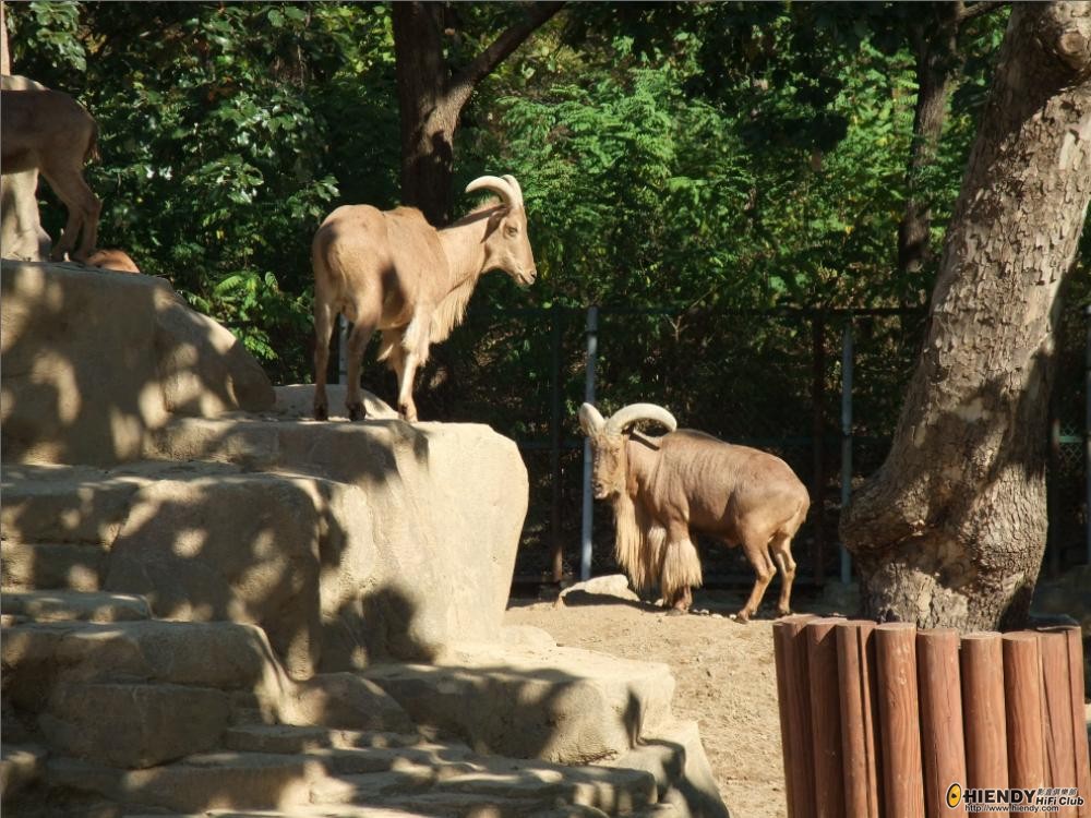 Park7.JPG