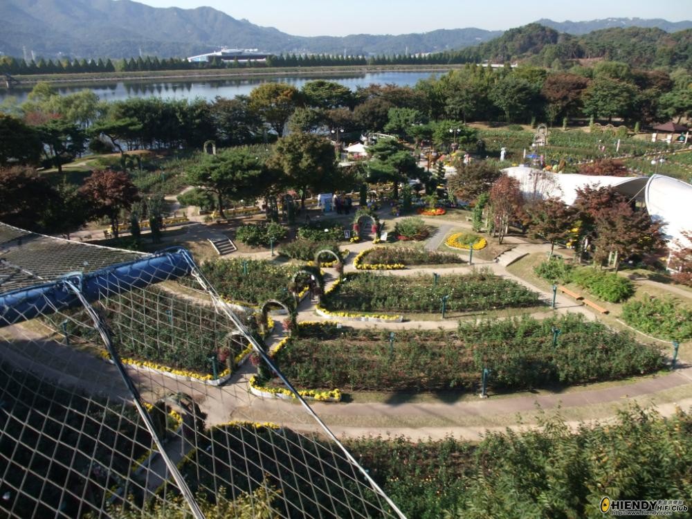 Parkt2.JPG
