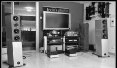 "純"--日耳曼........."血"