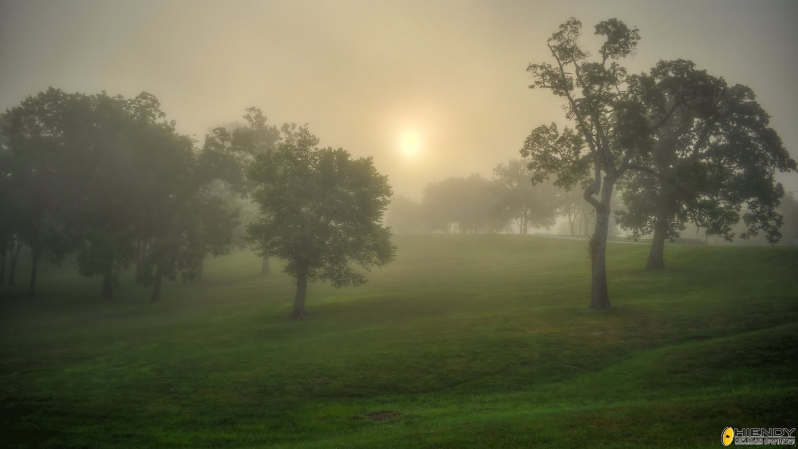 Morning Fog.jpg