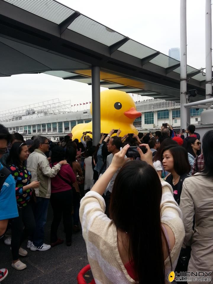 duck1.jpg