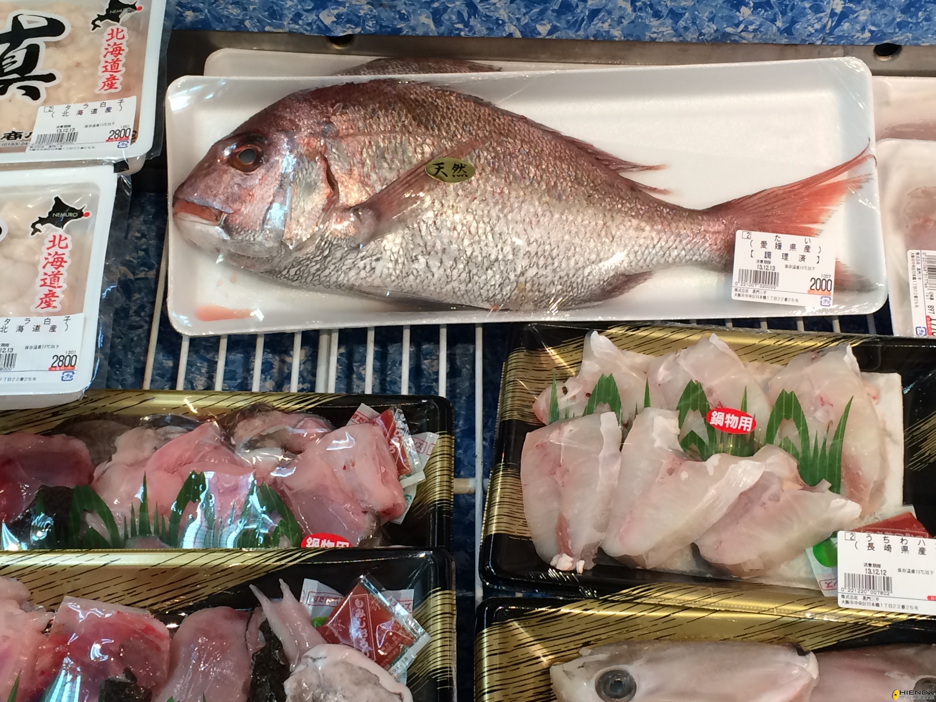 food02.JPG