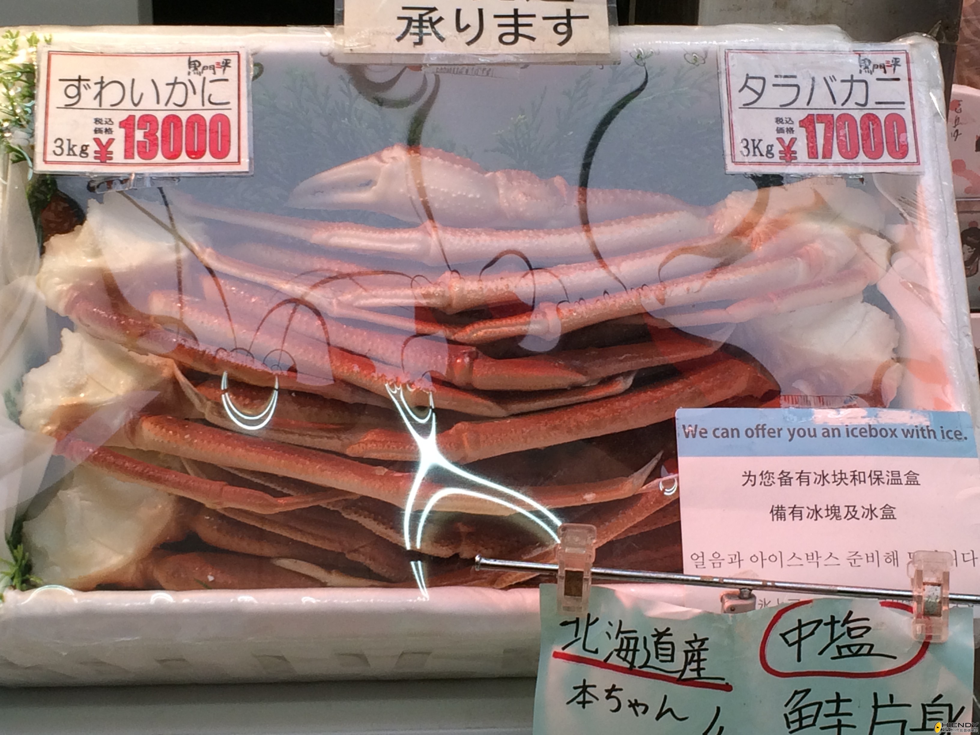 food04.JPG