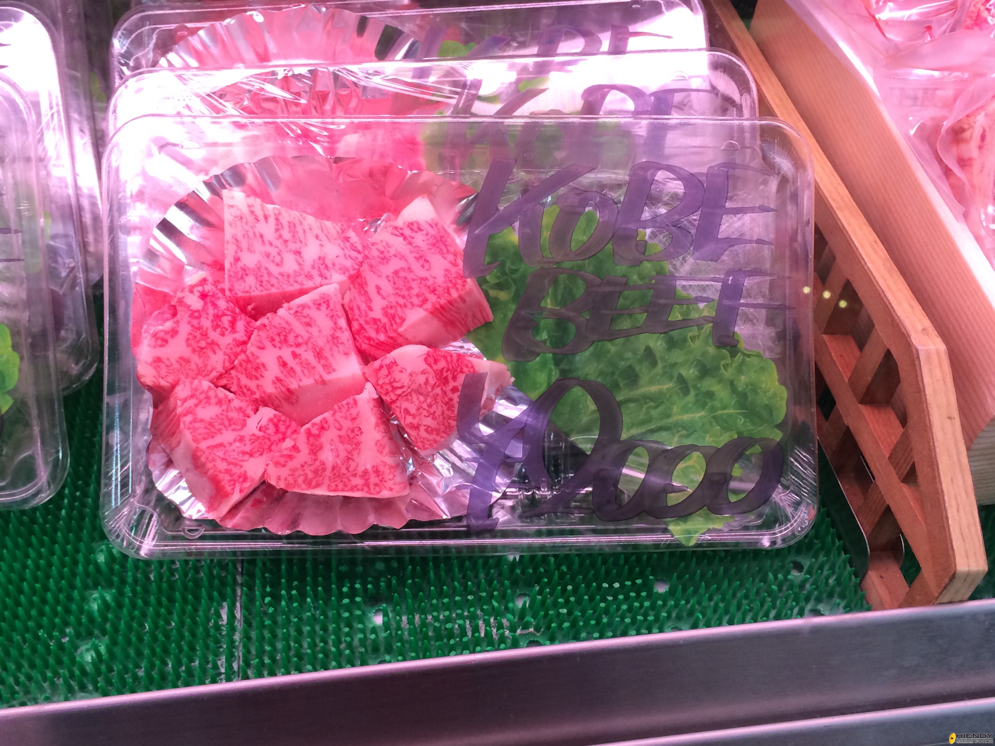 food06.JPG