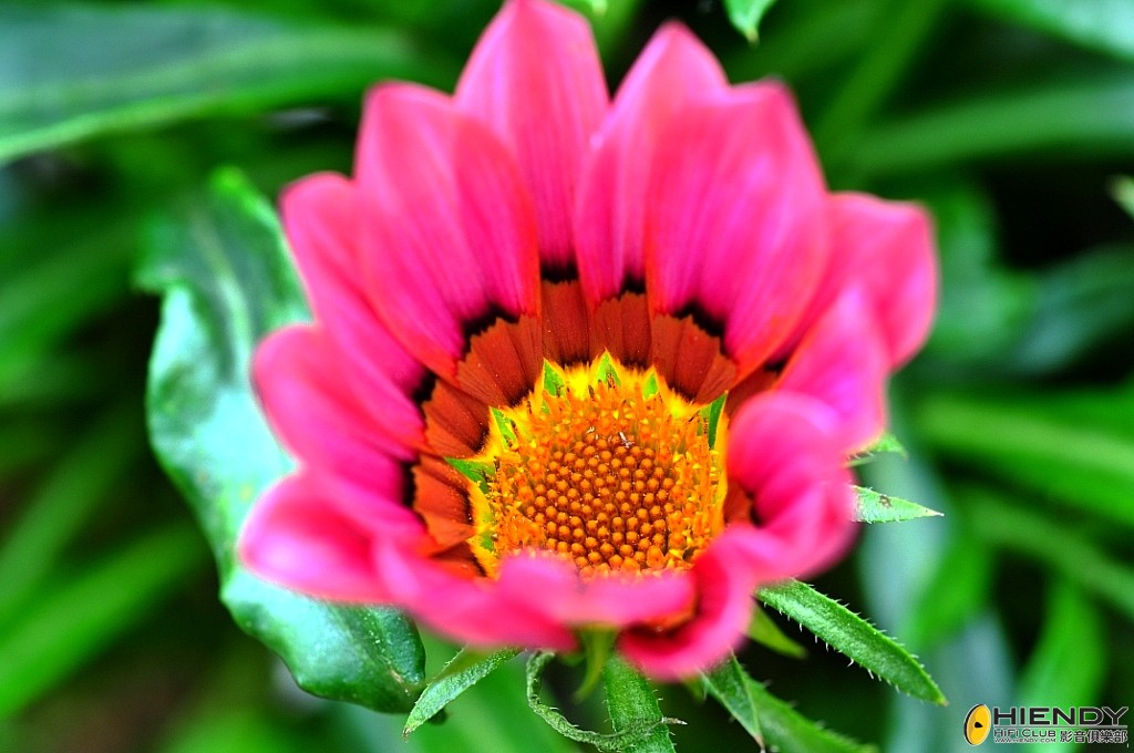 000_8662_conew1.jpg
