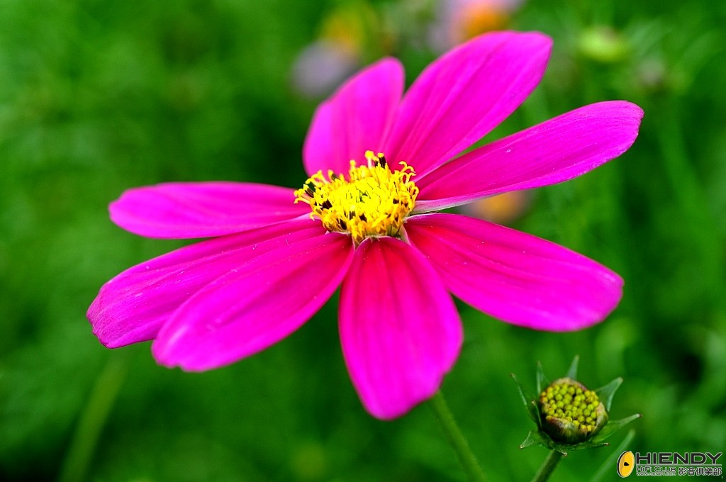 000_8671_conew1.jpg