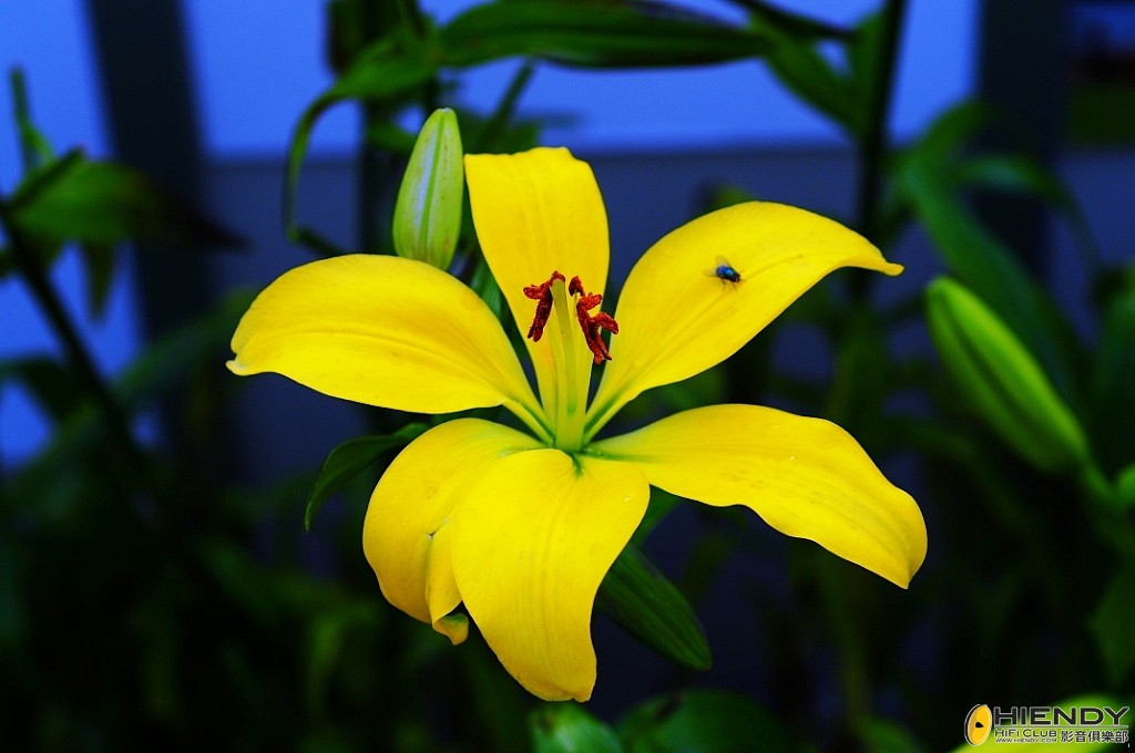 000_8689_conew1.jpg