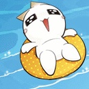 image.jpg