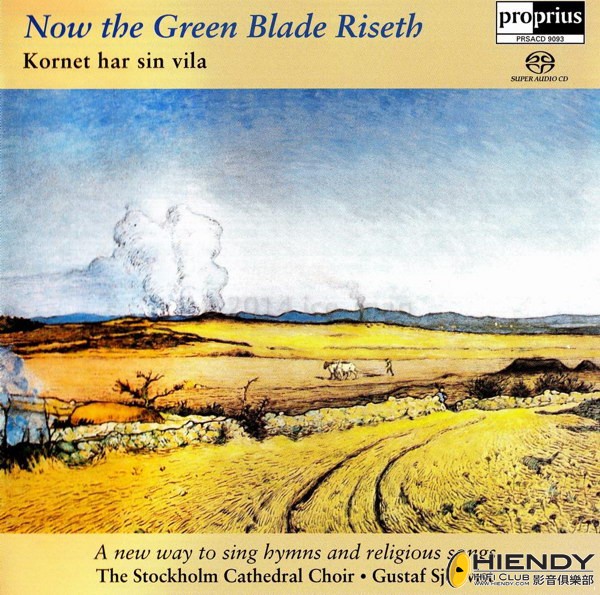 Stockholm Cathedral Choir, The - Now the Green Blade Riseth.jpg