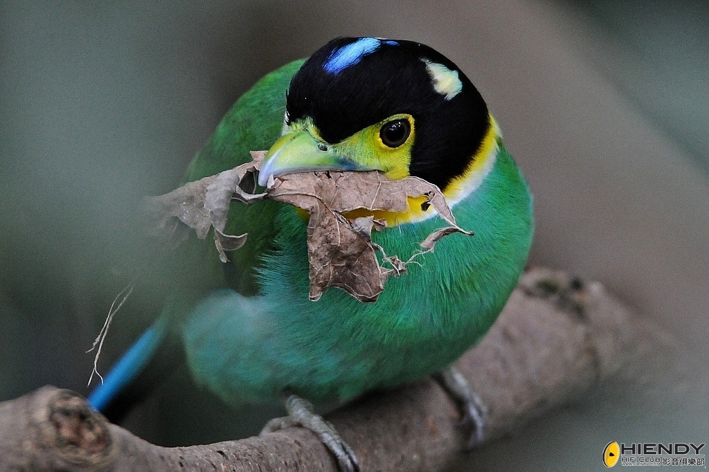 conew_ccw_9373.jpg