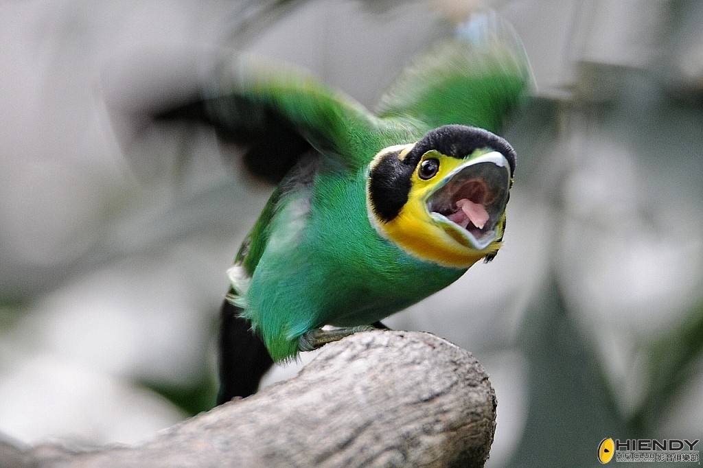 conew_ccw_0203.jpg