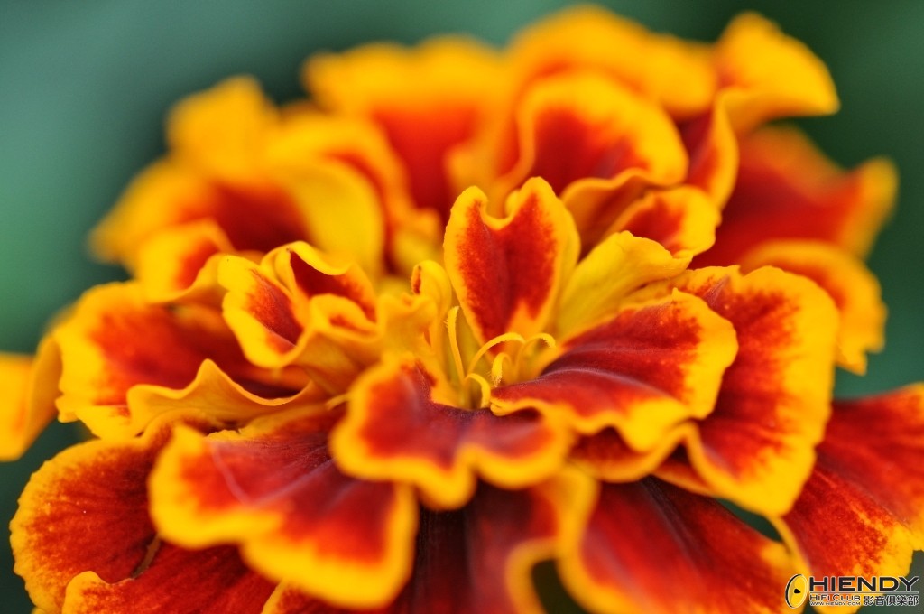 CCW_1368.jpg