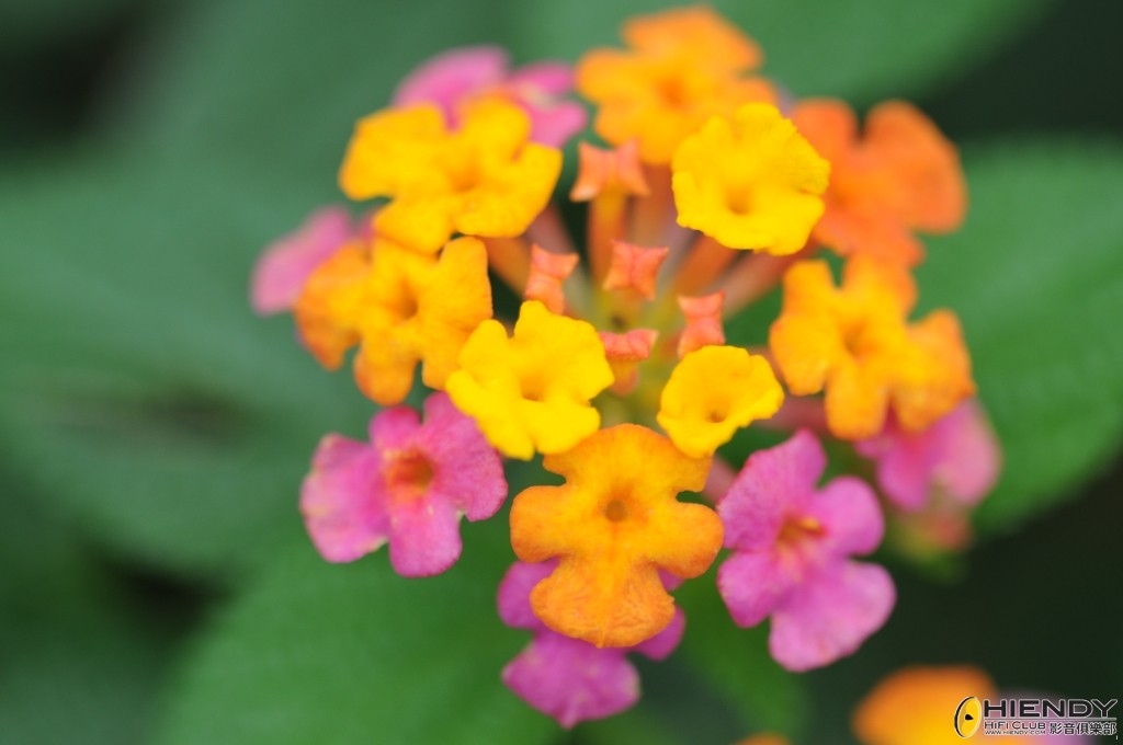 CCW_1390.JPG
