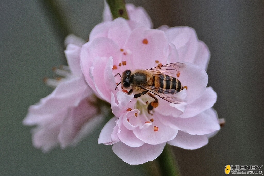 conew_ccw_1673.jpg