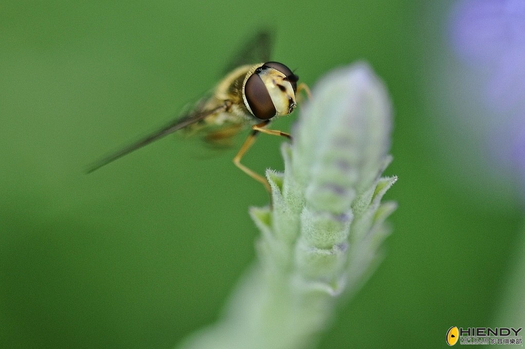 conew_ccw_1688.jpg