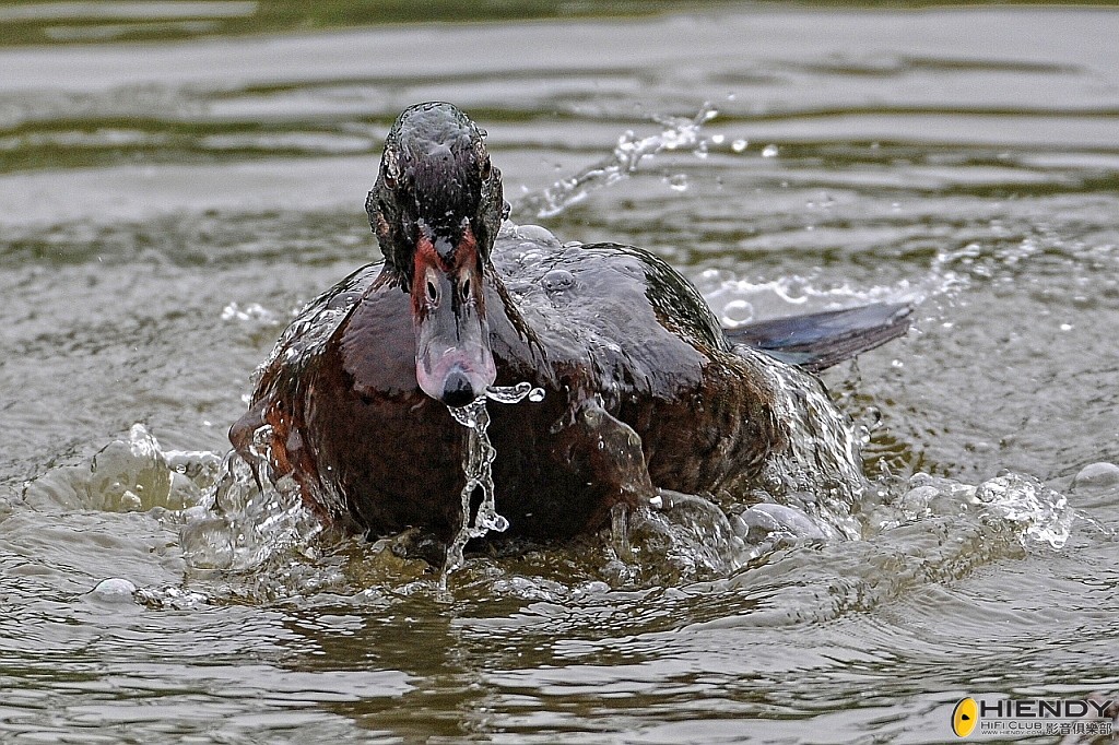 conew_ccw_4501.jpg