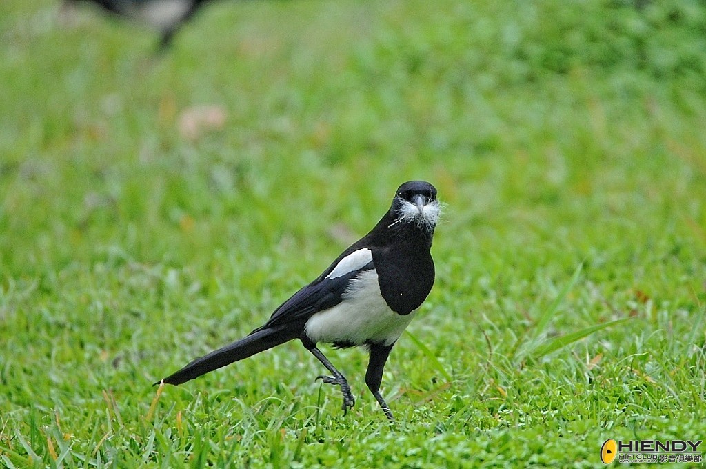 conew_ccw_3655.jpg
