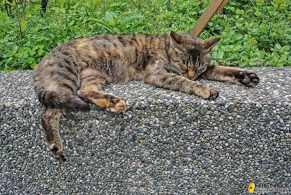 conew_dsc_6154.jpg