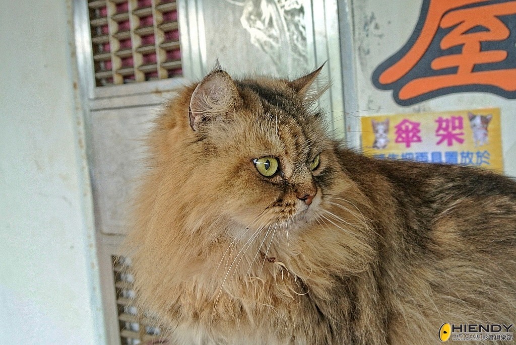 conew_dsc_6198.jpg