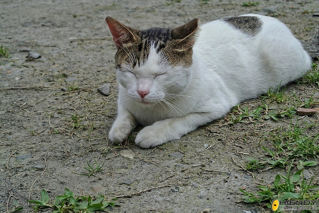 conew_dsc_6226.jpg