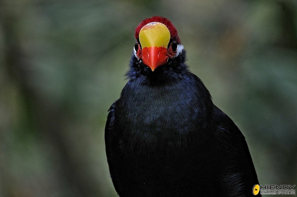 conew_ccw_4069.jpg