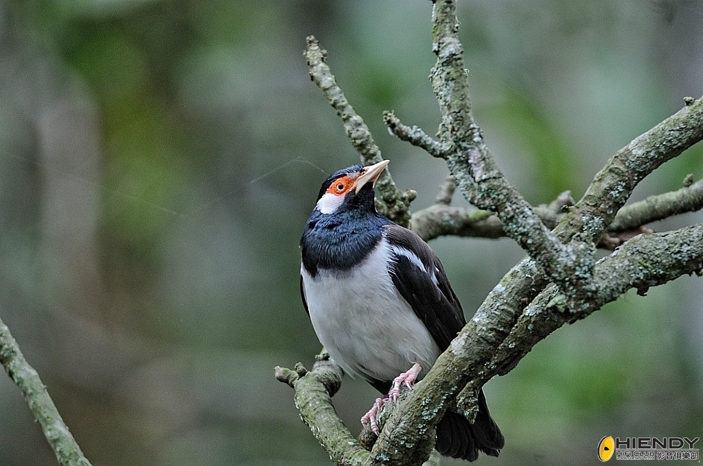 conew_ccw_4158.jpg