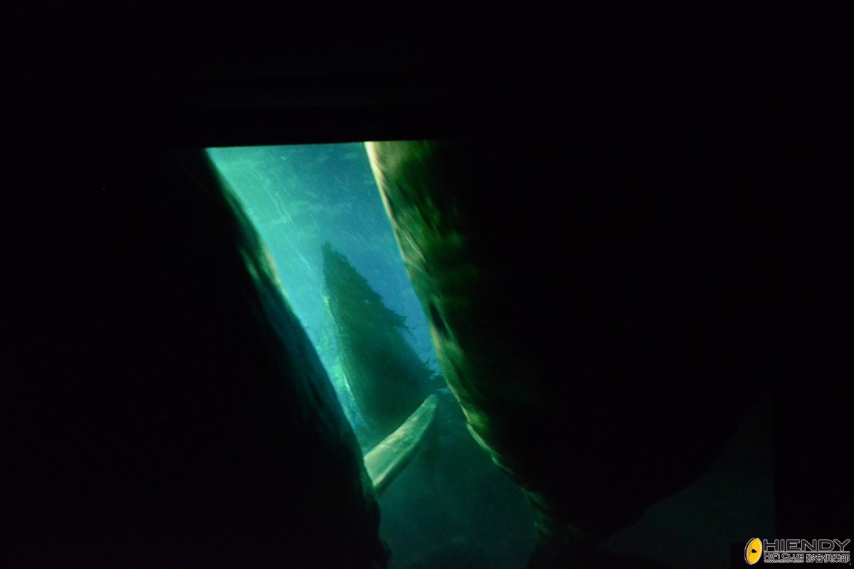 DSC_8172.JPG