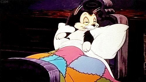 tumblr_inline_nujvucEjF51tbrtw8_500.gif