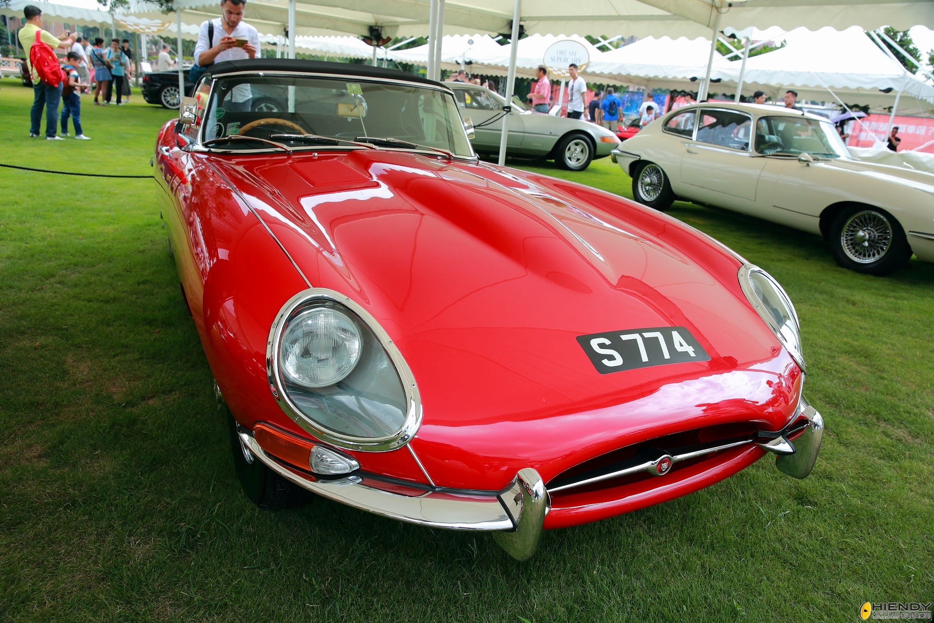 DPP_13047.JPG