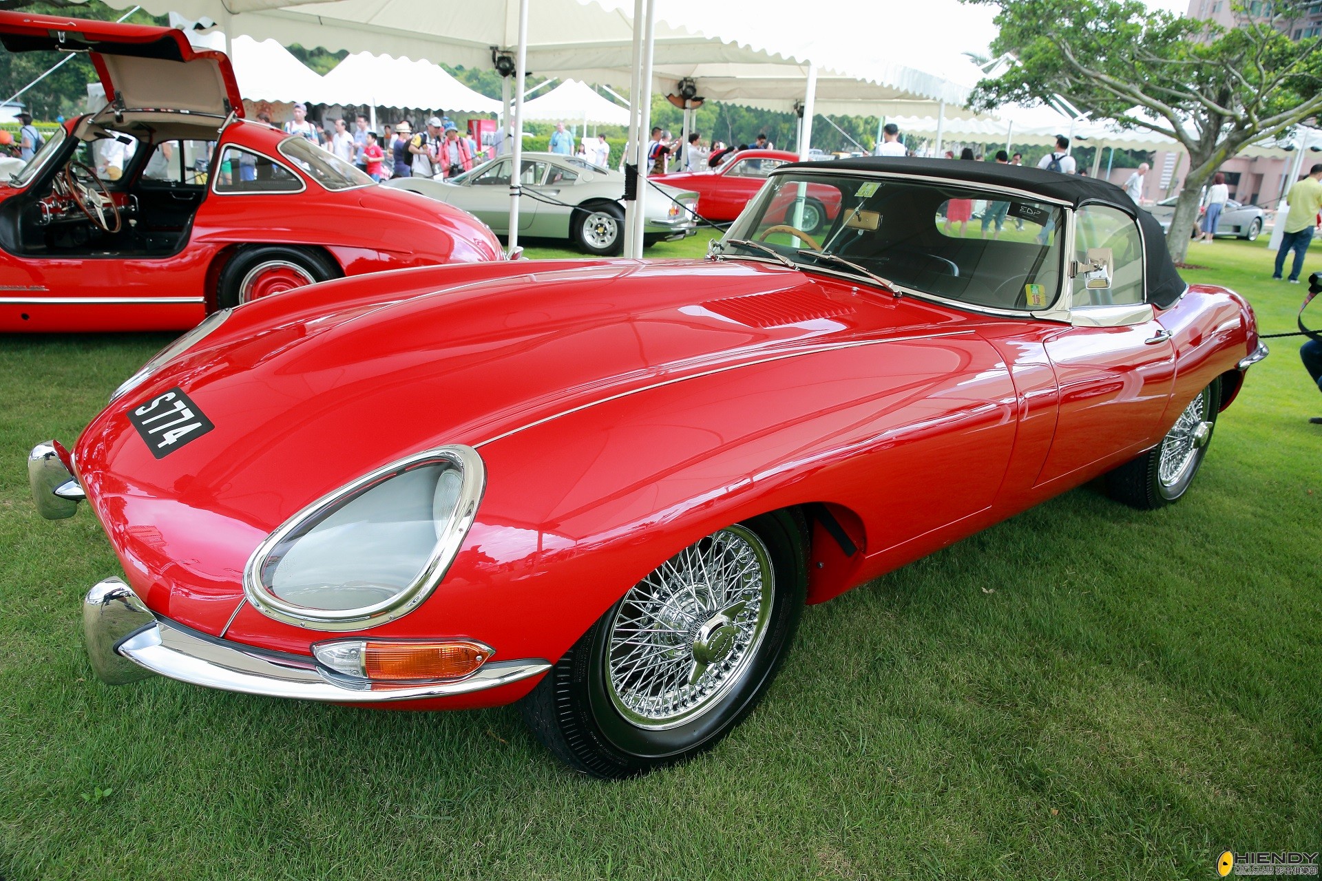 DPP_13049.JPG