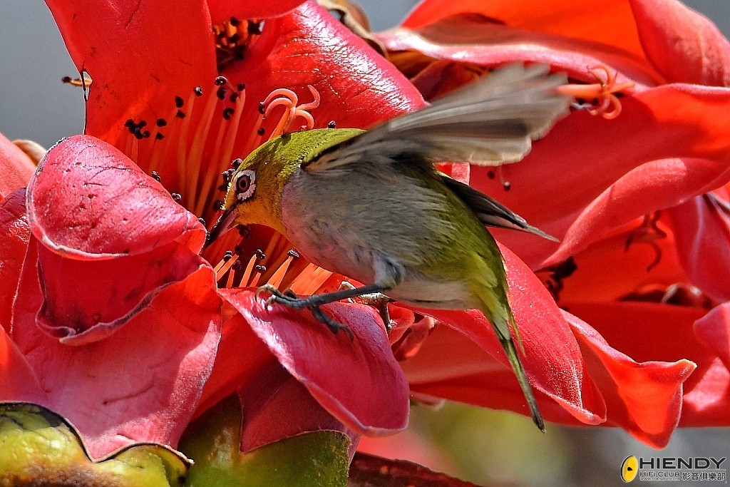 conew_wpc_0722 copy.jpg