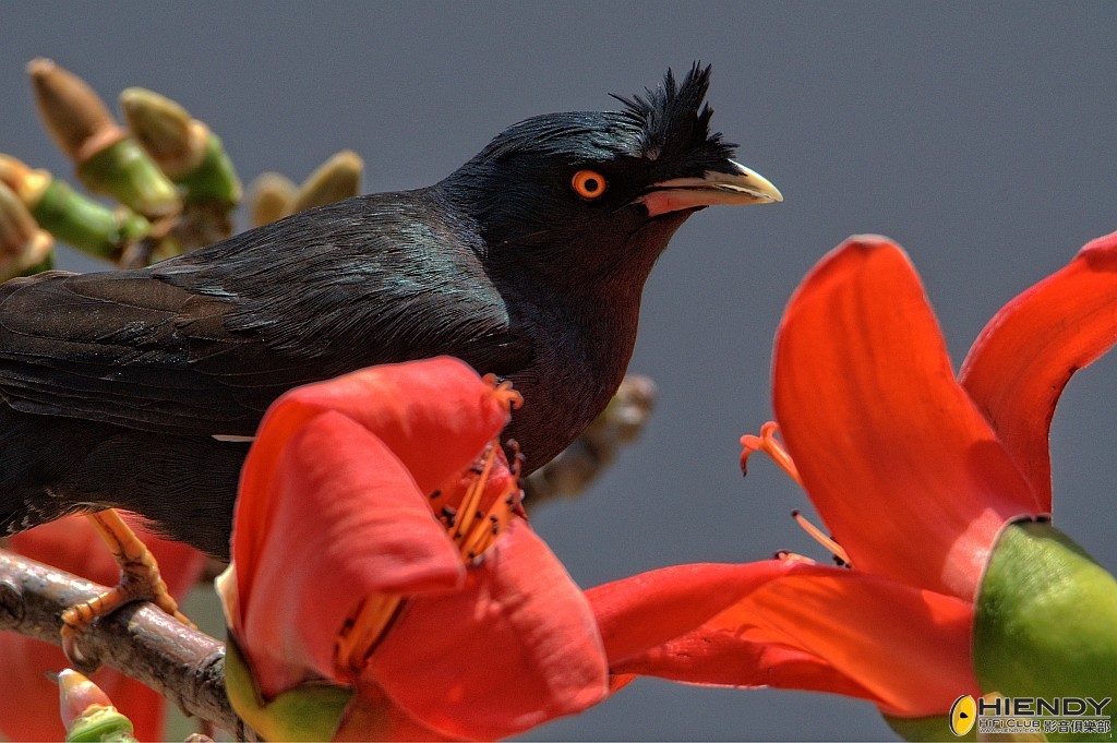 conew_wpc_0702 copy.jpg