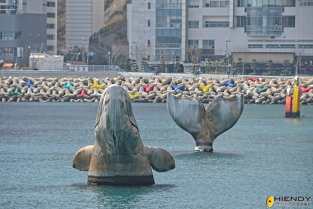 conew_wpc_9767 copy.jpg