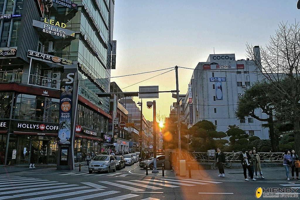 conew_wpc_9831 copy.jpg