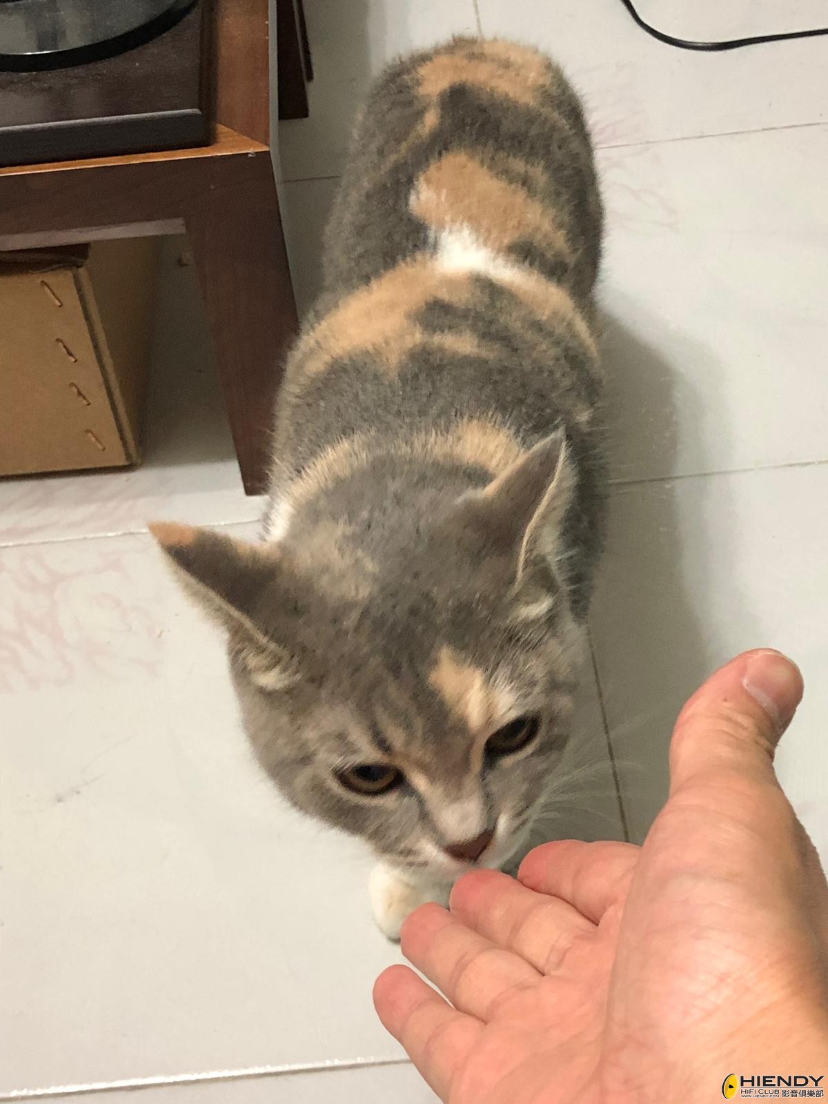 IMG-20190216-WA0002.jpg